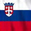 Vlajka Slovinska